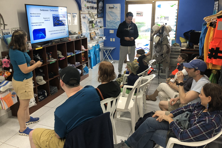 Puerto Vallarta: Tour d&#039;avventura per la ricerca della megatteraOsservazione delle balene