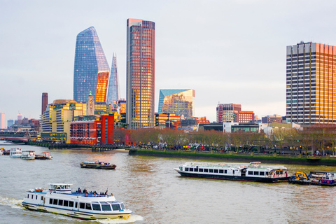 London: Westminster to Tower Bridge River Thames Cruise 1-Way Cruise