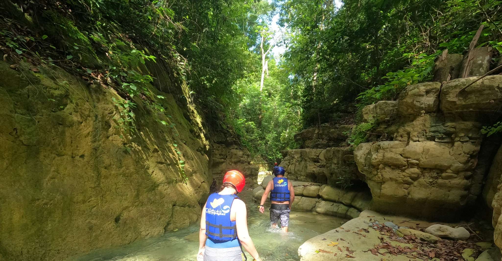 Puerto Plata, Damajagua Waterfalls Canyoning & Cocktail - Housity