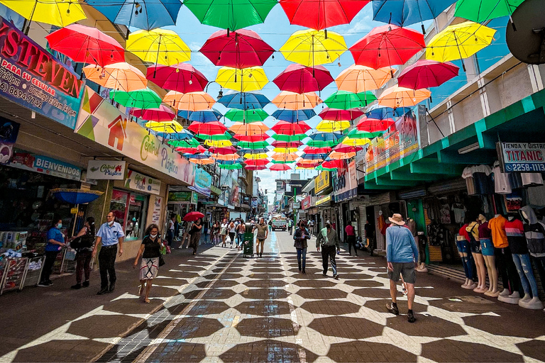 San José: 4-stündiger geführter RundgangSan José: 4-stündige geführte Wandertour