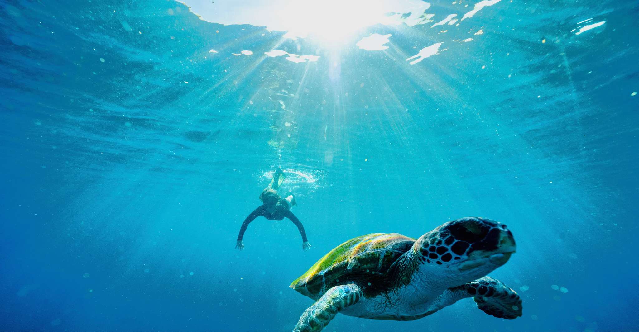 Byron Bay: Snorkeling Tour at Julian Rocks, Nguthungulli photo 14