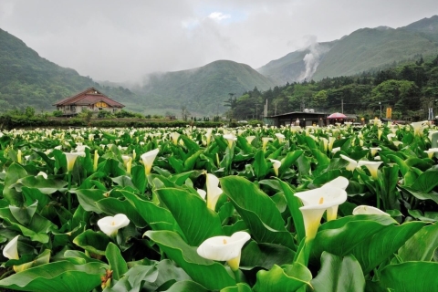 Von Taipeh: Beitou Hotsprings und Yangmingshan Volcano TourAb Taipeh: Tour zu den heißen Quellen von Beitou und dem Vulkan Yangmingshan