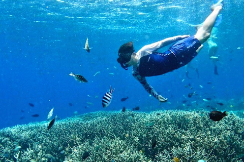 Au départ de Bali : Plongée avec masque et tuba pour les raies Manta et visite de Nusa Lembongan