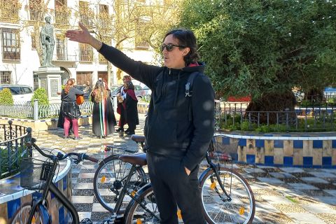 Sevilla: fietstocht langs de hoogtepunten van de stad