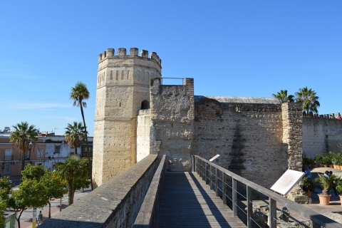 Desde Cádiz: excursión privada guiada de un día a Jerez de la Frontera