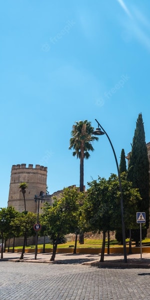 From Cadiz, Jerez de la Frontera Private Guided Day Trip - Housity