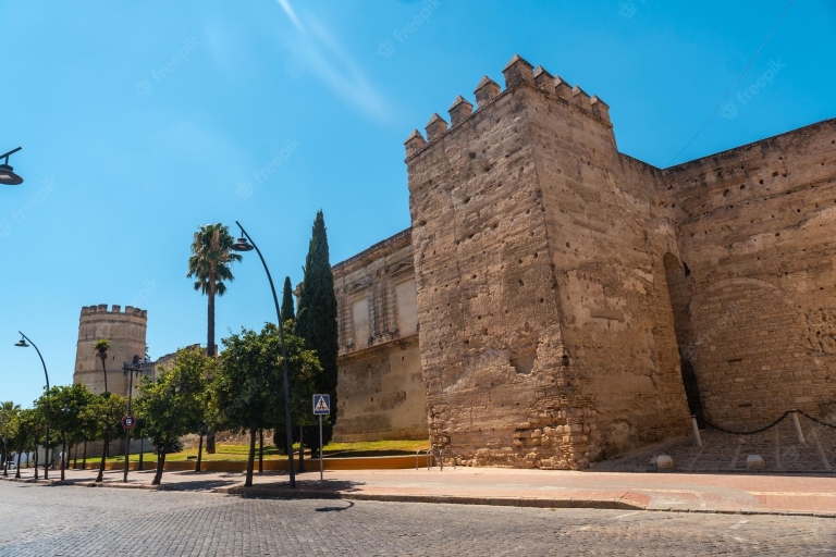 Von Cádiz aus: Privater Tagesausflug zu den weißen Dörfern Andalusiens