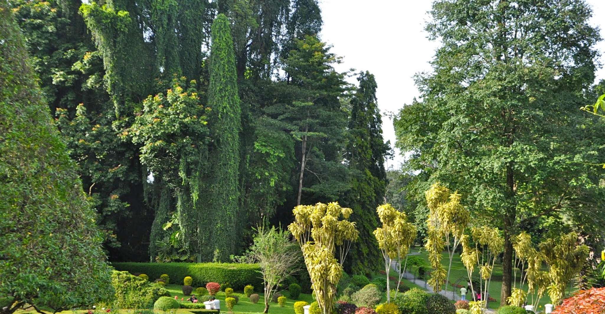 Pinnawala & Kandy Tagestour ab Negombo - Hizvo