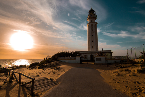 From Cadiz: Jerez de la Frontera Private Guided Day Trip