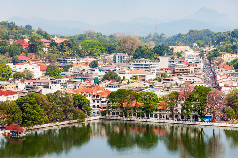 Från Colombo: Heldagstur till Kandy och Pinnawala