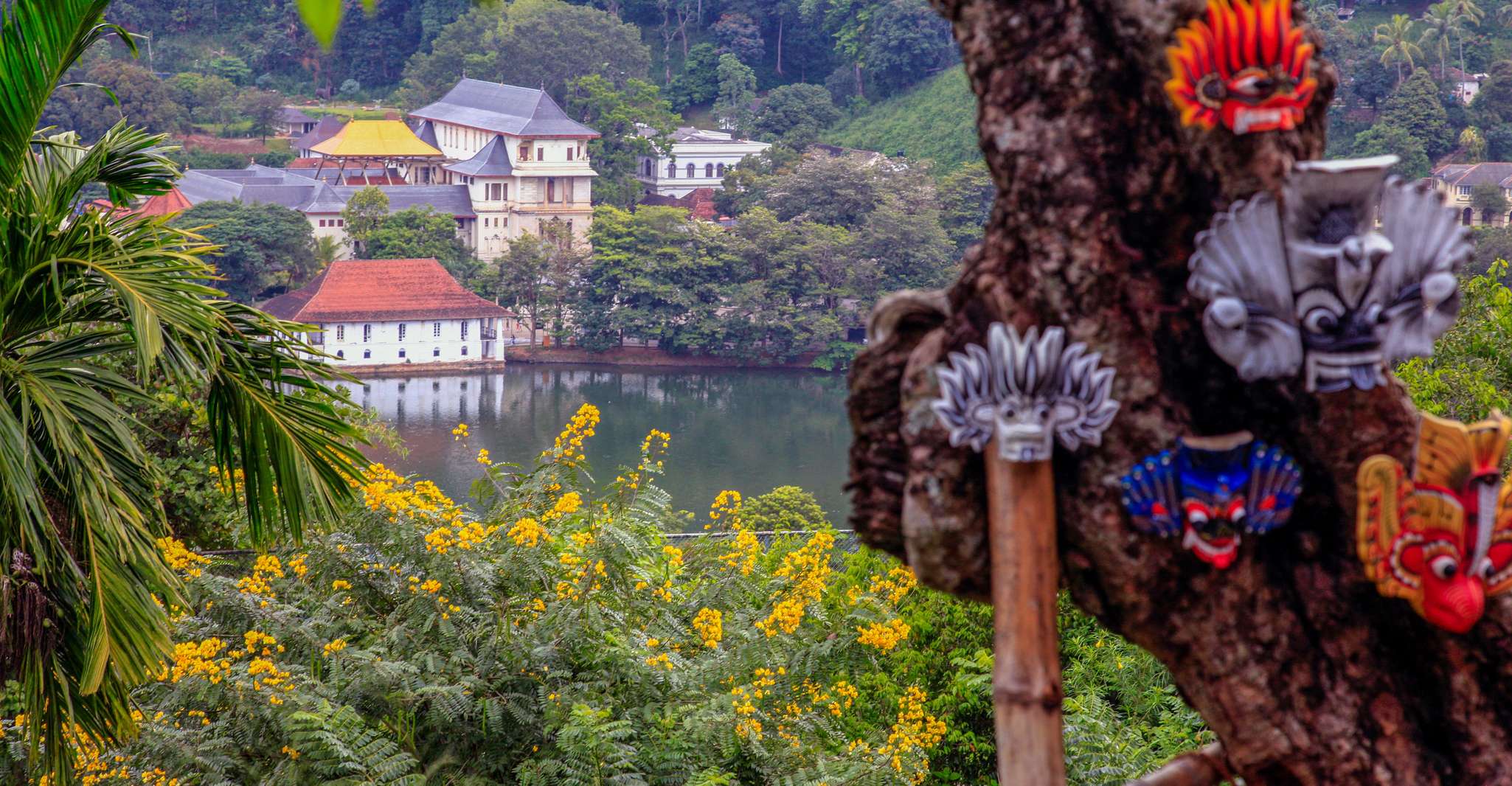 Von Colombo, Kandy und Pinnawala Tagesausflug - Hizvo