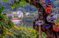 De Colombo, Kandy et Pinnawala voyage d'une journée complète - Hizvo