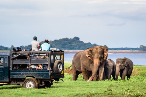 Safari Sigiriya Dambulla & Minneriya avec prise en charge/dépose