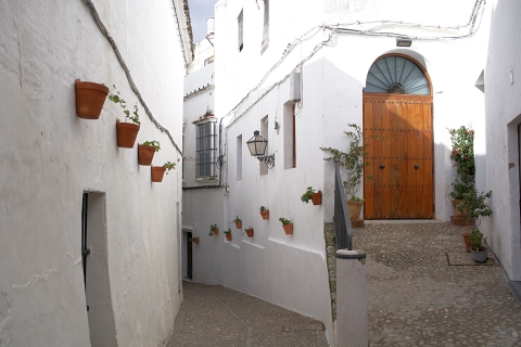 Von Cádiz aus: Private Führung durch die weißen Dörfer und die Stadt