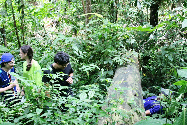 Chiang Mai : Circuit en quad + Trekking