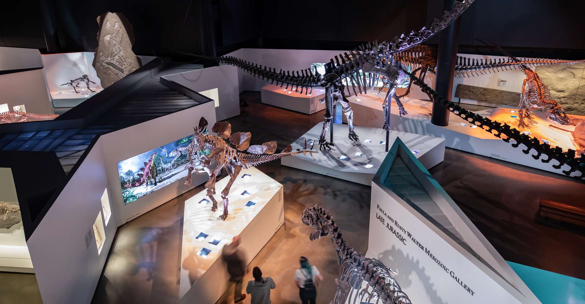 Houston, Musée des sciences naturelles Billet d'entrée général - Hizvo