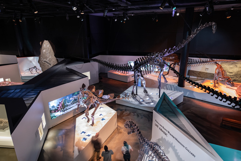 Houston: biglietto d&#039;ingresso generale per il Museo di scienze naturali