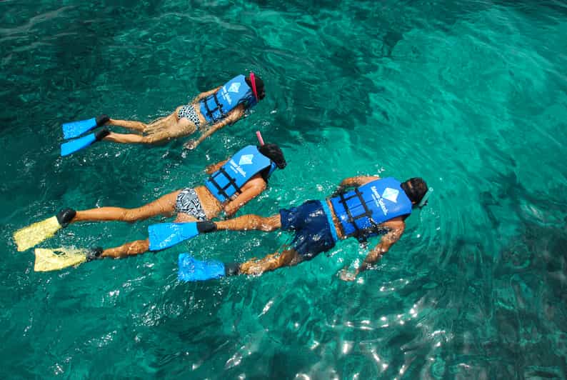 Punta Cana Catamarán, lancha rápida y excursión de snorkel GetYourGuide