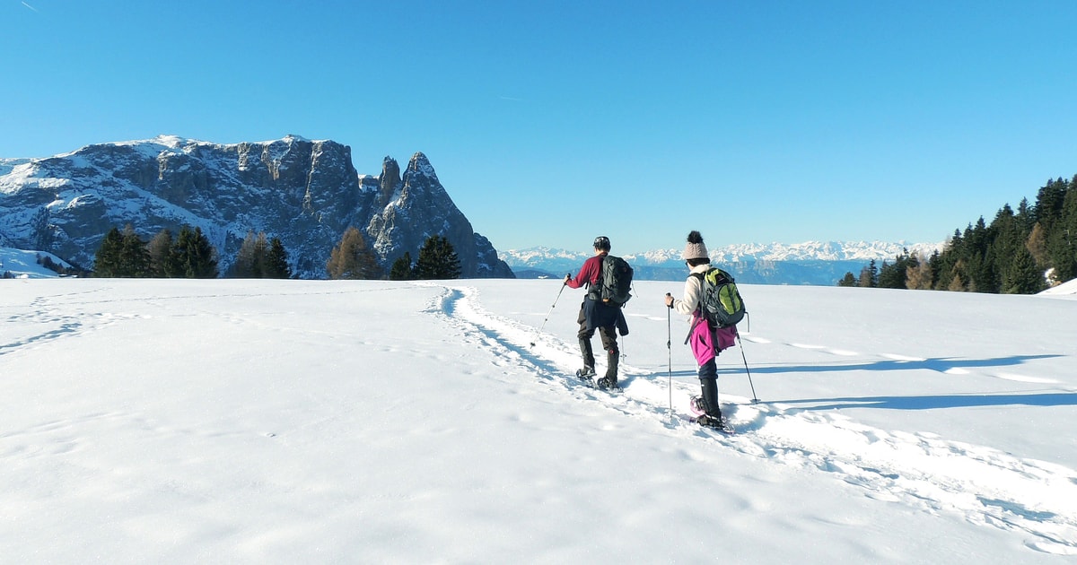 From Cortina Dolomites 2Day Private Guided Snowshoe Tour GetYourGuide