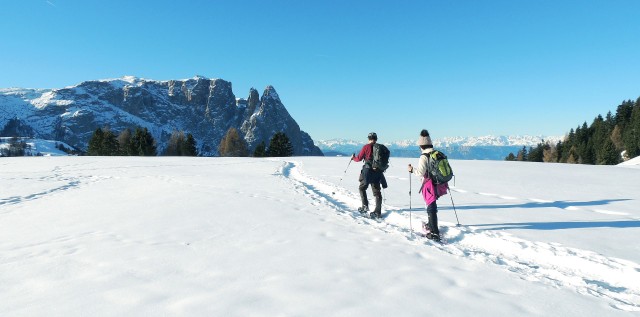 Visit From Cortina: Dolomites 2-Day Private Guided Snowshoe Tour in Piacenza