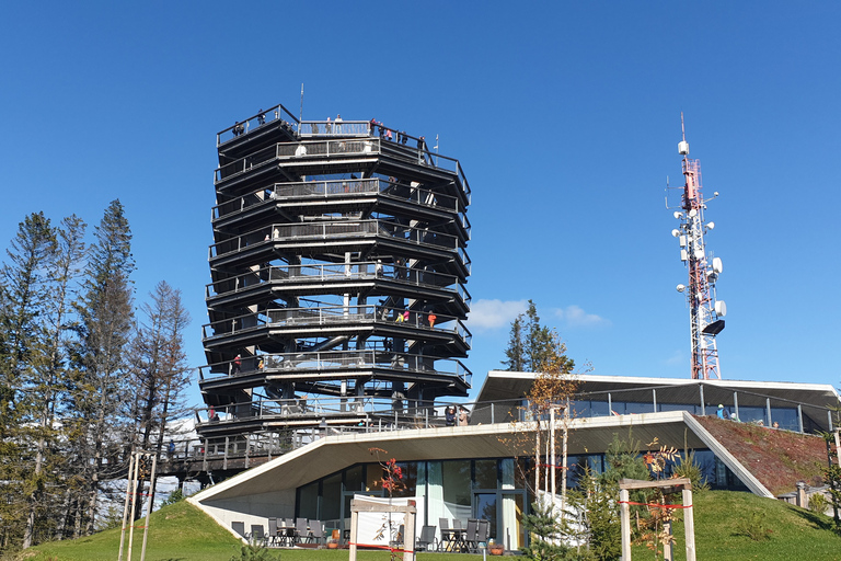 Desde Cracovia: tour a Eslovaquia Treetop Walk y baños termales