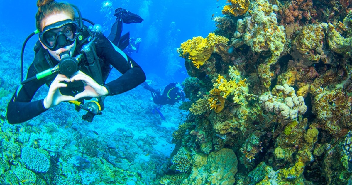 Sharm El Sheikh: Scuba Shore Diving with Hotel Pickup | GetYourGuide