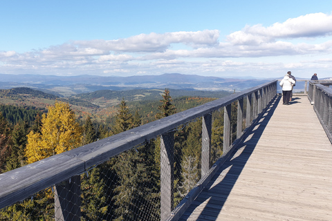 Desde Cracovia: tour a Eslovaquia Treetop Walk y baños termales