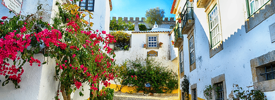 Depuis Lisbonne : Nazaré et Óbidos Visite privée dans une voiture haut de gamme.
