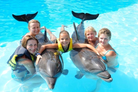 Sharm el-Sheikh: Delfinshow und optionales Schwimmen mit DelfinenShow mit Schwimmen mit Delfinen