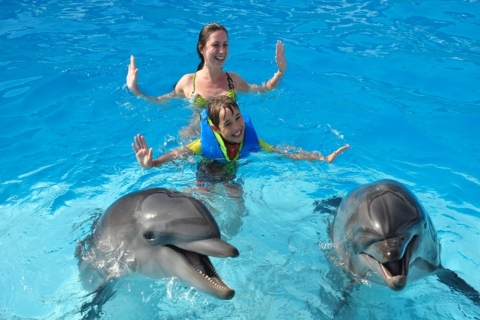 Sharm el-Sheikh : Spectacle de dauphins et baignade facultative avec les dauphinsSpectacle avec Nage avec les dauphins