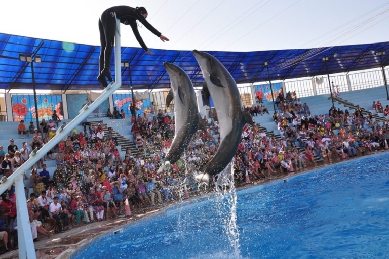 Sharm el-Sheikh: Espectáculo de delfines y nado opcional con delfinesEspectáculo sin nadar con delfines