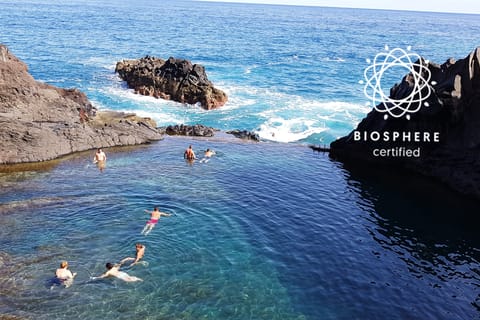 Madeira: Skywalk, Vulkanbecken von Porto Moniz & Fanal-Tour