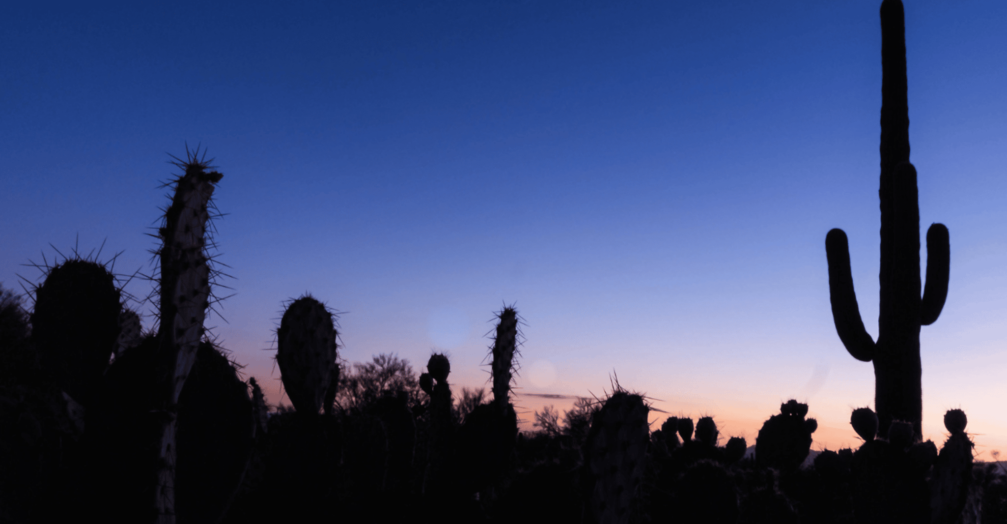 El Paso, Sun City Ghost Walking Tour - Hizvo
