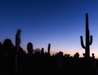 El Paso, Sun City Ghost Walking Tour yakınındaki oteller - Hizvo
