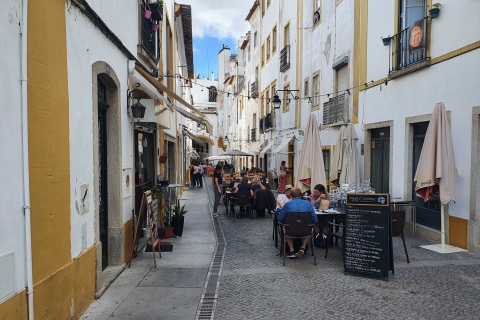 Desde Lisboa: tour de día completo por Évora y MonsarazTour privado