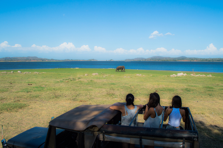 Safari a Sigiriya, Dambulla y Minneriya con servicio de recogida y regreso