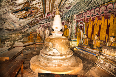 Safari Sigiriya, Dambulla i Minneriya z odbiorem/dowozem