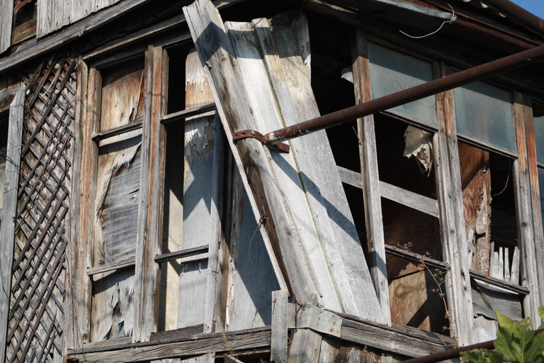 Vanuit Tbilisi: Gori per trein - Stalinmuseum en verborgen parelsPrivé-ervaring