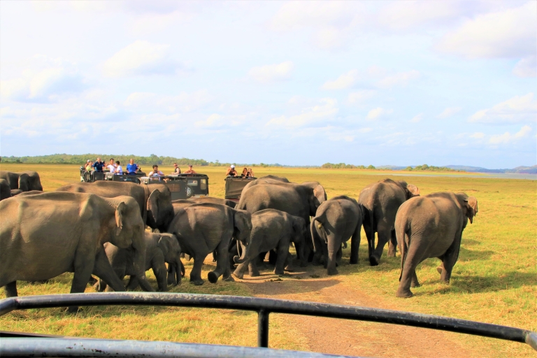 De Negombo: grottes de Dambulla et safari au parc national de Kaudulla