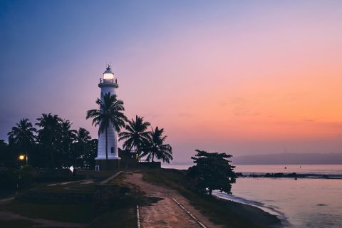 Galle Fort and Fish Massage from Negombo