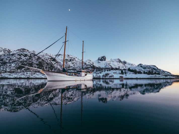 Tromsø: Whales, Northern Lights, Husky or Reindeer Sledding
