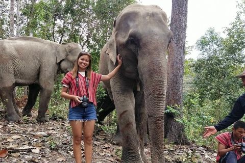 Chiang Mai: tour di gruppo riserva degli elefanti e cascate