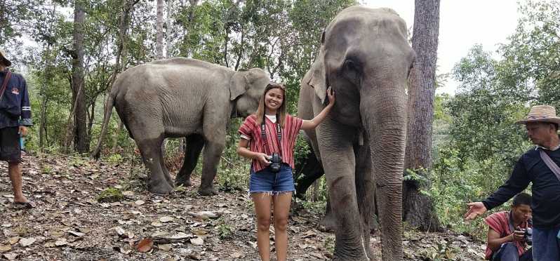 Chiang Mai: Elefanten-Schutzzentrum & Wasserfall Gruppentour