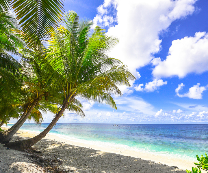 Cartagena: 5 Islands Tour with Snorkeling and Plankton