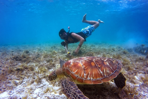 Cartagena : Tour des 5 îles avec snorkeling et plancton