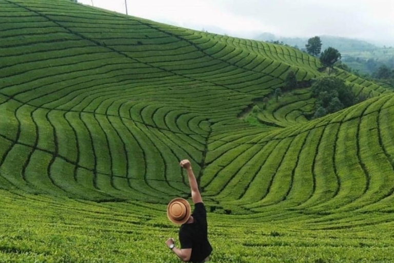 Au départ de Yogyakarta : Circuit de 3 jours à Java Ouest avec plantation de thé