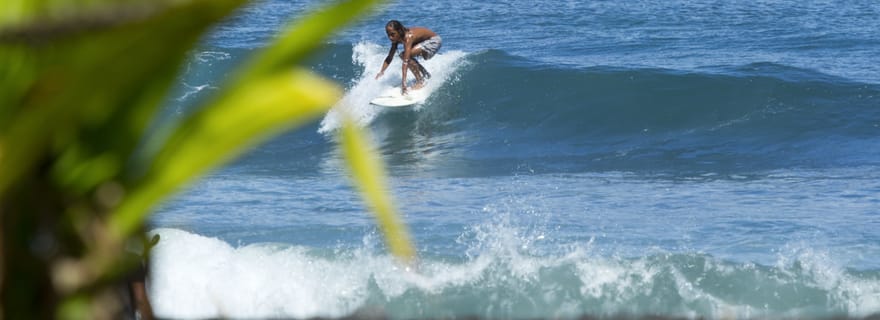 Tahiti : Visite d'une demi-journée privée pour découvrir la culture et la nature de Tahiti