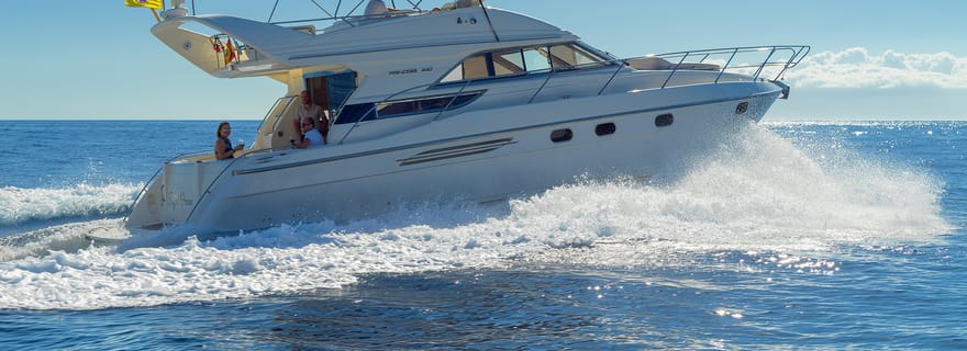 Tenerife : Baleines et plongée en apnée à bord d'un yacht de luxe