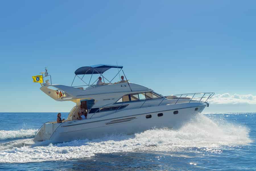 Teneriffa: Wale und Schnorcheln Tour auf einer Luxusyacht