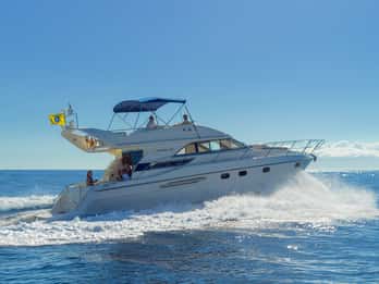 Tenerife: Tour delle balene e snorkeling su uno yacht di lusso